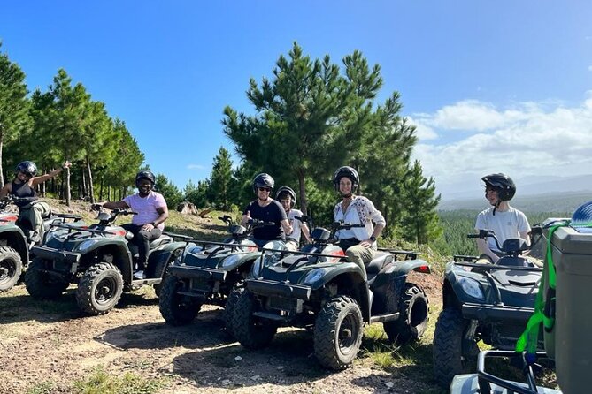 2-Hour Quad Biking Guided Excursion Through the Knysna Forests - Price and value: what $49.06 buys, and how rider types affect it