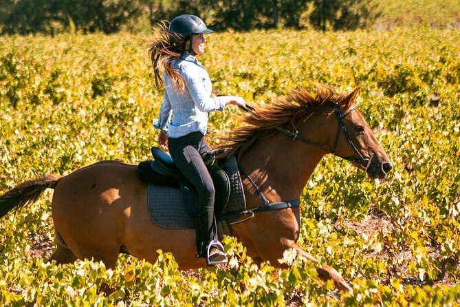 2 Hour Vineyard Trail Ride - Key highlights at a glance