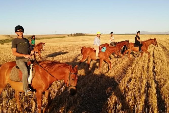 2 Hour Vineyard Trail Ride - Vineyard Trail Ride Style: Why This Version of Stellenbosch Works