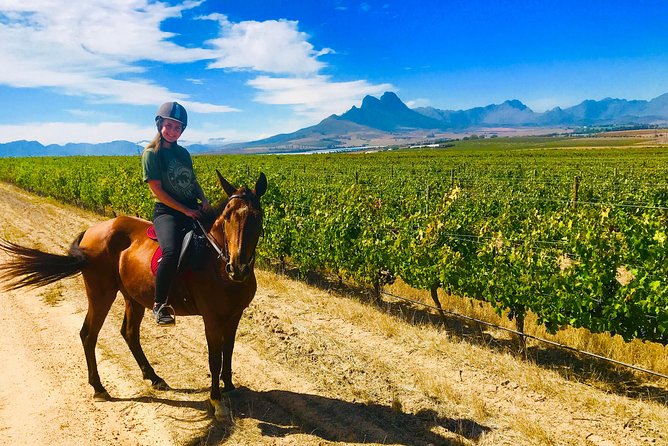 2 Hour Vineyard Trail Ride - On the Trail: Vineyards, Farms, Wildlife Chances, and Viewpoints