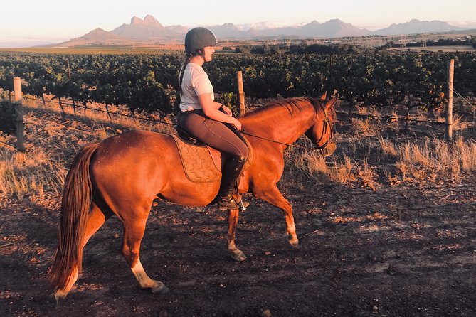 2 Hour Vineyard Trail Ride - Vredenheim Big Cats Park Stop: Quick Look vs Extra Admission