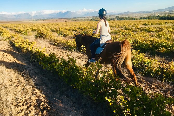2 Hour Vineyard Trail Ride - Practical Comfort Checklist: What to Wear and What to Expect Physically