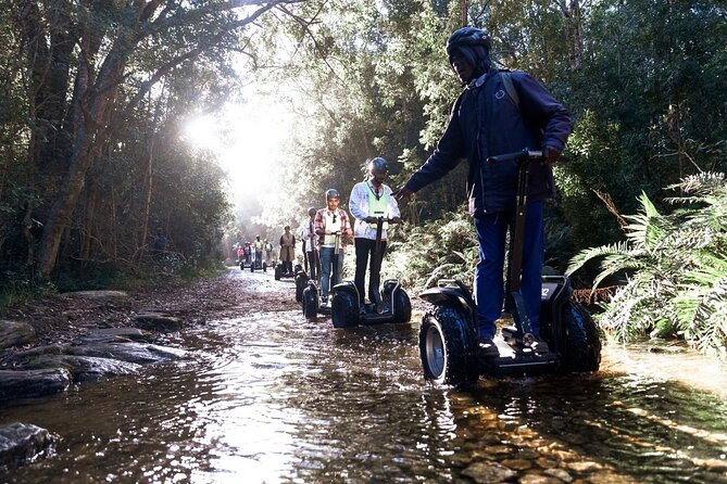 2 Hours Segway Experience in Stormsriver Village - The Tsitsikamma Forest Target: Reaching the 1000-Year-Old Big Tree