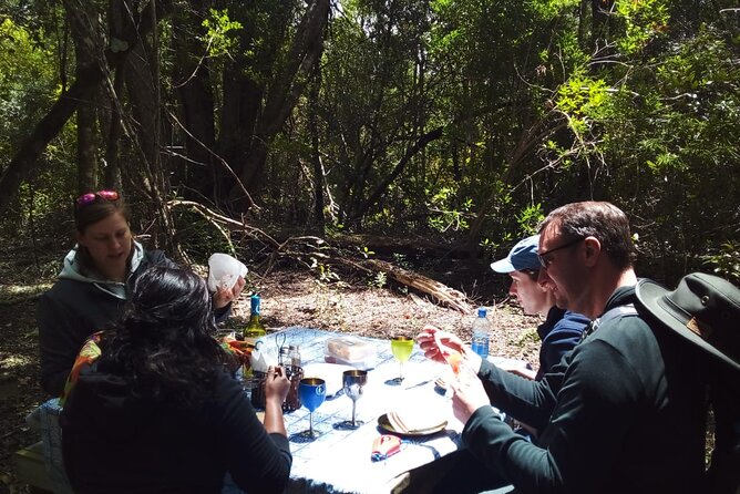 2 Night Tenikwa Experience - Your afternoon free time near The Crags and Plettenberg Bay