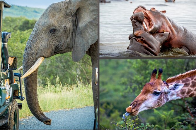 3 Day 2 Night Hluhluwe, St Lucia, Isimangaliso Tour - Key highlights
