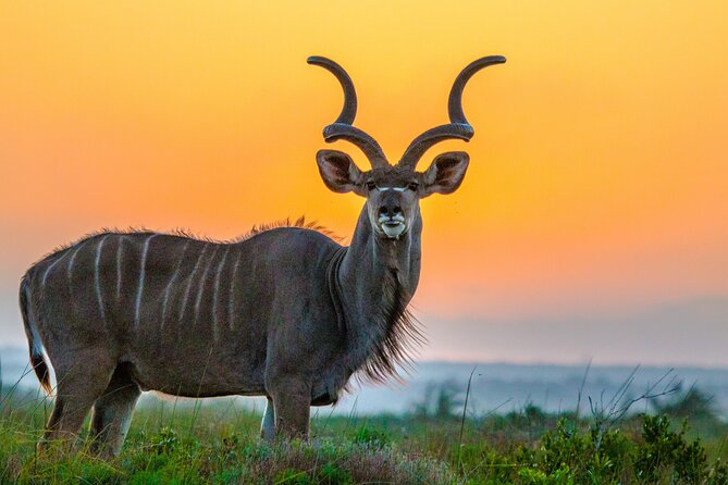 3 Day 2 Night Hluhluwe, St Lucia, Isimangaliso Tour - Day 3 at Cape Vidal: bush and beach safari plus snorkeling in the protected bay