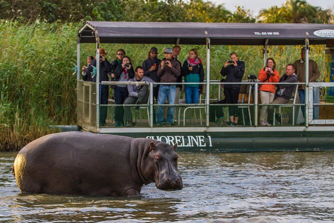 3 Day 2 Night Hluhluwe, St Lucia, Isimangaliso Tour - Day 2 early: Big Five safari in Hluhluwe-iMfolozi with bush breakfast and braai lunch
