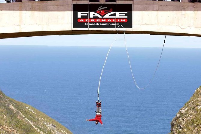 3 Day Big 5 and Bungee Tour - Garden Route Small Group Tour from Cape Town - Key highlights that make this tour worth your time