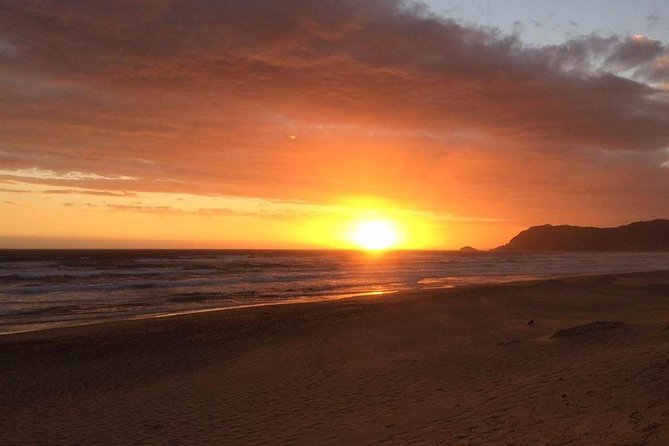 3 Day Big 5 and Bungee Tour - Garden Route Small Group Tour from Cape Town - Day 2 hits the local culture and the big adrenaline payoff