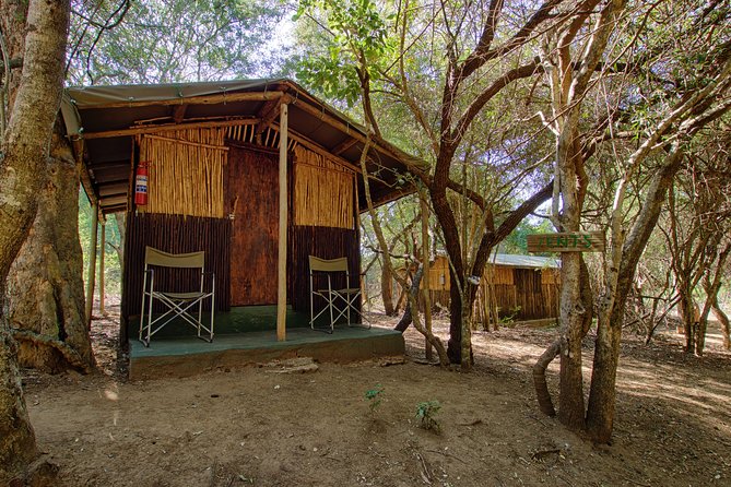 3 Day Budget Tent Kruger National Park Safari - Why this 3-day safari feels like more than a quick stop
