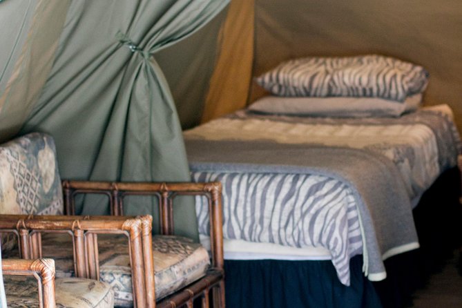 3 Day Budget Tent Kruger National Park Safari - Day 2 in Kruger: Orpen game viewing, birding, and a full wildlife day