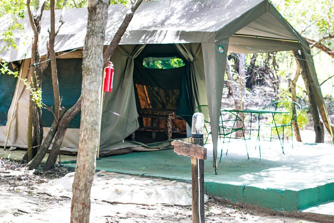 3 Day Budget Tent Kruger National Park Safari - Food, water, and practical comfort on a tent safari budget