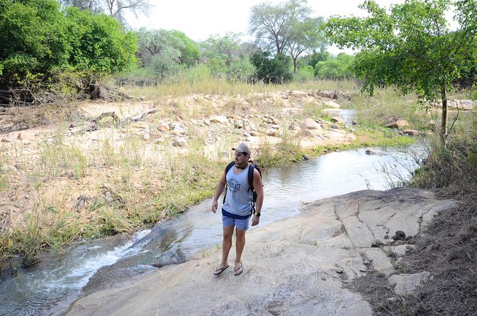 3 Day Budget Tent Kruger National Park Safari - Day 1: Johannesburg pickup, Tremisana, and a sunset Land Cruiser drive