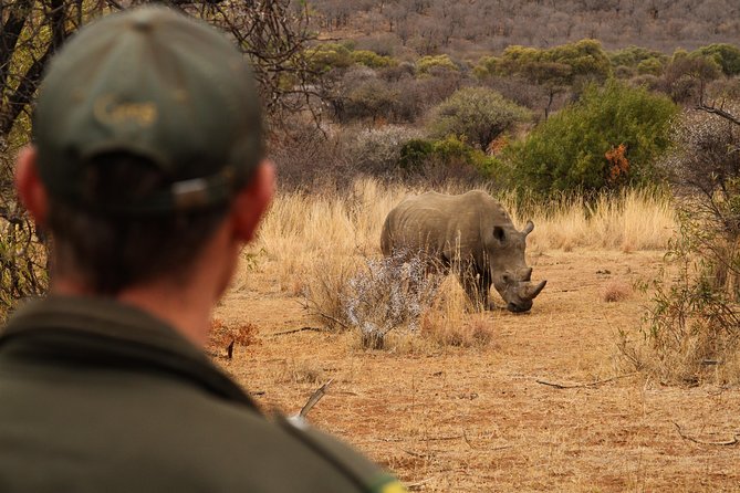 3 Day Garden Route Highlights and Safari with Private Transfers - Buffelsdrift elephant observation: optional, emotional, and carefully framed