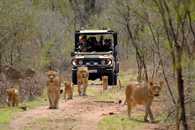 3 Day Garden Route Private Tour - Key things you’ll like on this 3-day Garden Route drive