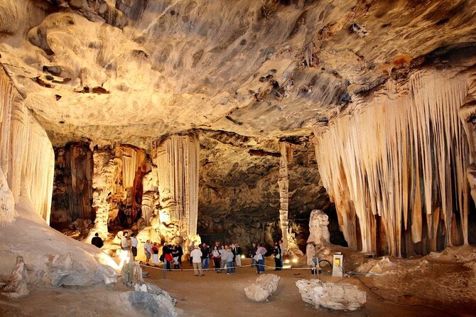 3 Day Garden Route Private Tour - Who this private Garden Route tour is best for