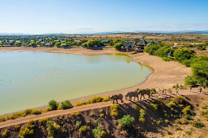 3 Day Garden Route's Best Highlights with Safari from Cape Town - Where You Sleep: Backpackers, 3-Star, or 4-Star Based on Your Pick