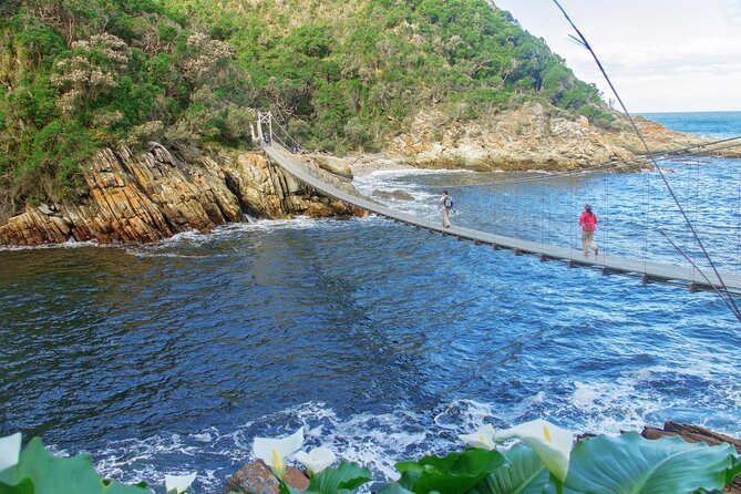 3 Day Garden Route Safari - Key highlights worth your attention