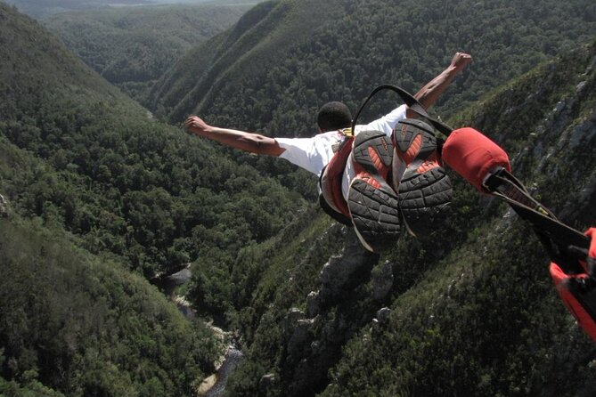 3 Day Garden Route Tour - Why this 3 day Garden Route plan works better than DIY