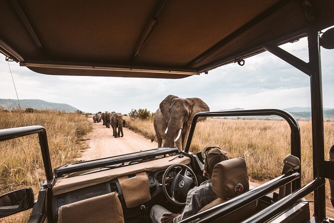 3 Day Garden Route Tour - Day 1: Route 62 drive, Cango Caves, and Oudtshoorn ostrich country