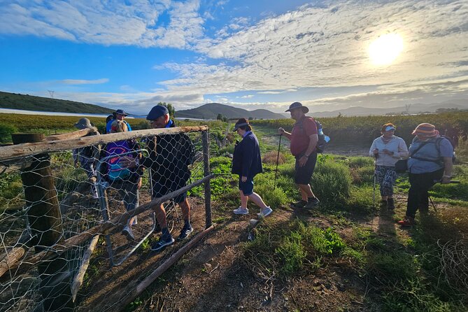 3 Day - Guided Private Wine Walk Trails and Fossil Hunt - Key things to know before you book Fossil Hills