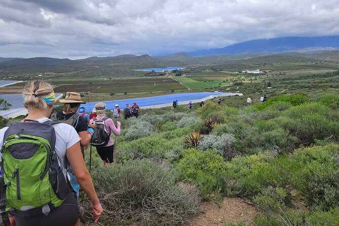 3 Day - Guided Private Wine Walk Trails and Fossil Hunt - Your home base at Pinotage/Tango House, and why the evenings feel part of the adventure