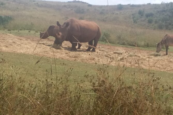 3-Day Johannesburg Tour with Pilanesberg National Park Safari - Day 1: Constitutional Hill, Apartheid Museum, and the Soweto Mandela Sites