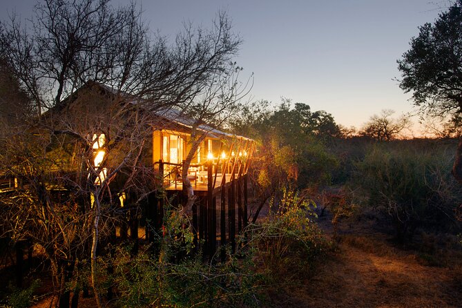 3 Day Kapama Buffalo Camp Safari - Day 2 Sunrise Safari, Pool Time, and Sunset Drives After High Tea