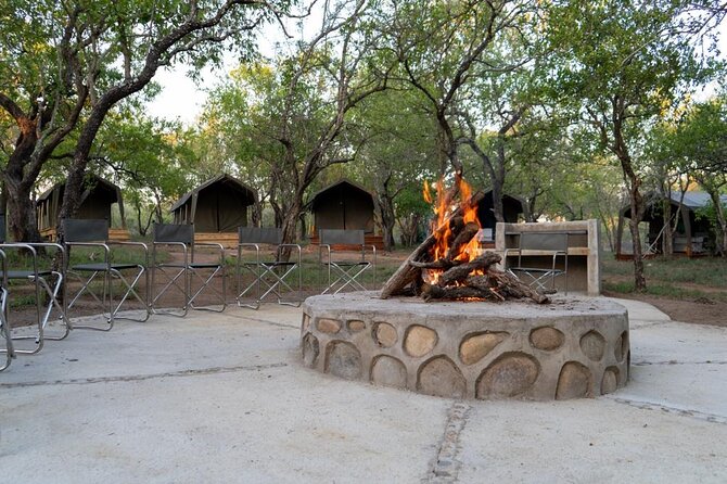 3 Day Kruger Glamping Budget Adventure - Day 2 Orpen-Satara safari time, plus flexible departures for animal activity