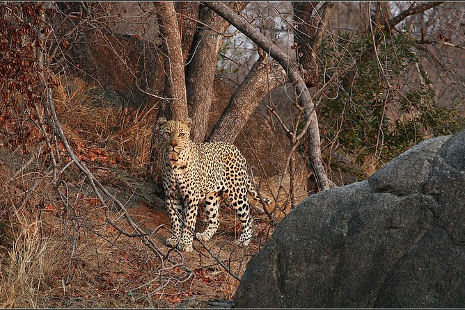 3 Day Kruger National Park and Crocodile River Safari - Crocodile River first: why this Kruger setup feels different