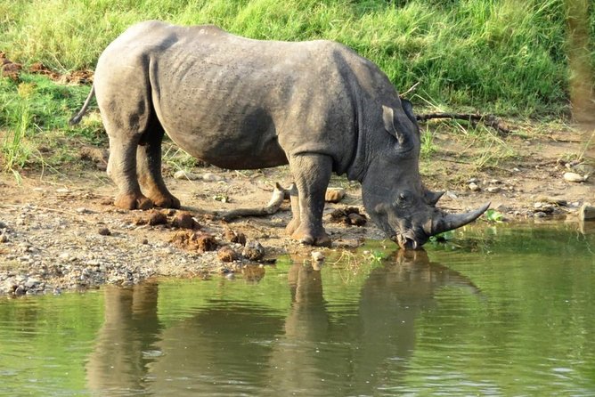3 Day Kruger National Park and Crocodile River Safari - Late afternoon and sunset: the second act you do not want to miss