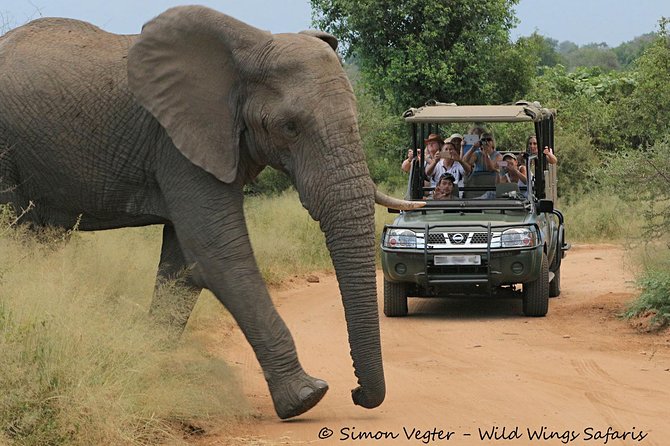 3-Day Kruger National Park Open Vehicle Safari - Johannesburg pickup to Kruger entry: how day one actually starts