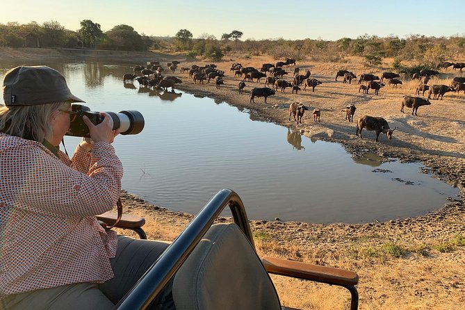 3-Day Kruger National Park Open Vehicle Safari - Price and value: what $770.68 covers, and what you still pay yourself