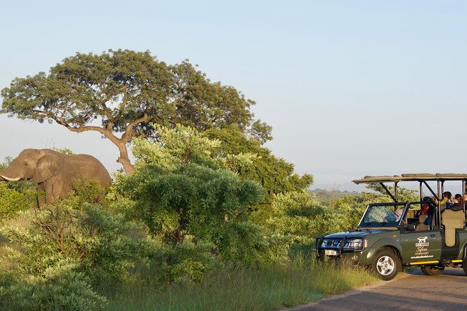 3-Day Kruger National Park Safari including Breakfast and Dinner - Day 3 morning safari plus packaged breakfast for an early start