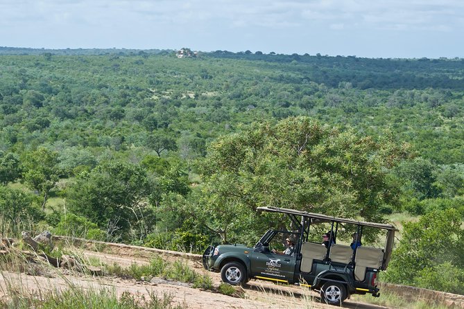 3-Day Kruger National Park Safari including Breakfast and Dinner - Open-vehicle safari and the guide effect (yes, it makes a difference)