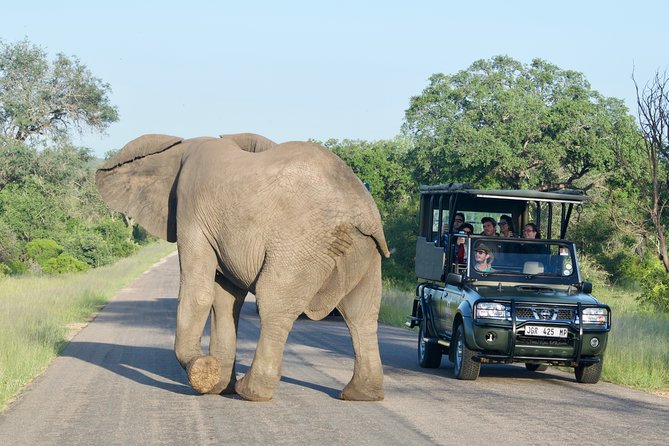 3-Day Kruger National Park Safari including Breakfast and Dinner - Day 2: the full-day 8-hour safari and why waterholes matter