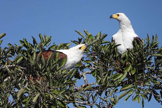 3 Day Kruger National Park Safari & Panorama Route - Why this 3-day Kruger plus Panorama plan feels efficient