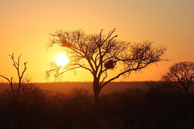 3 Day Kruger National Park tour - Key Points Before You Go
