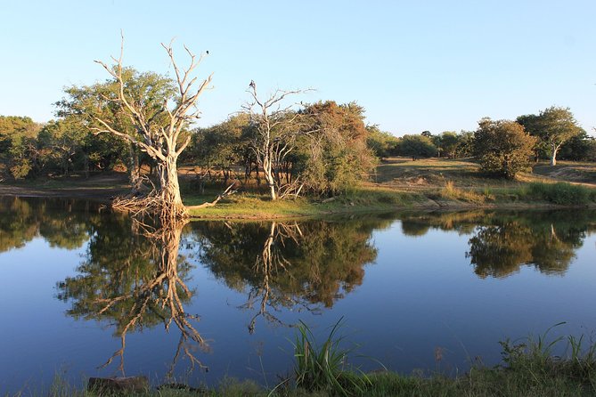 3 Day Kruger National Park tour - Day 1 Sunset Safari: The Sundowner Moment You Will Remember
