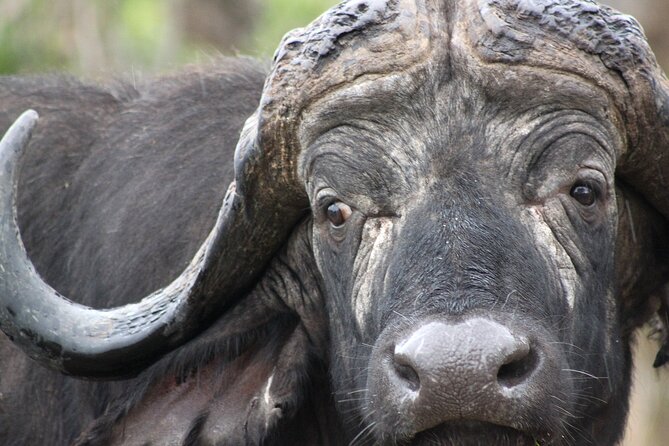 3 Day Kruger National Park tour - Day 3: Blyde River Canyon Nature Reserve for the Scenic Reset