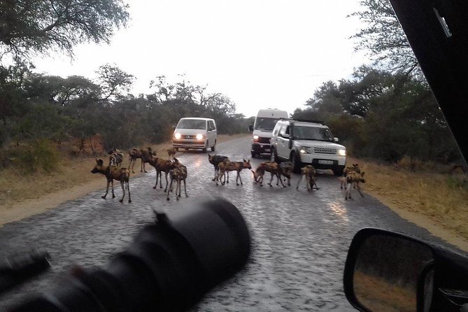 3 Day Kruger National Park tour - Klaserie Private Game Reserve and Camp Time: The Base That Makes the Safaris Easier