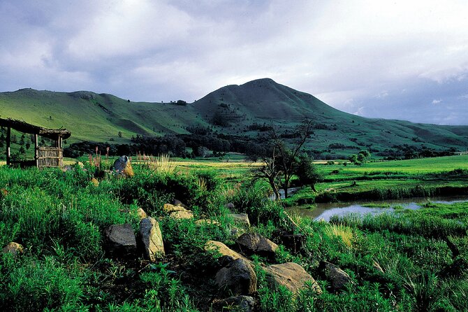 3 Day Kruger Safari with Panorama Tour from Johannesburg - Who This Safari Fits Best (and who should think twice)