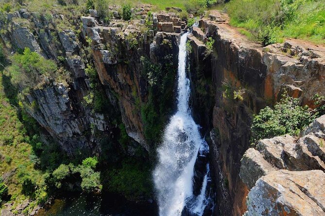 3 Day Kruger Safari with Panorama Tour from Johannesburg - Price and What You Actually Get for $734