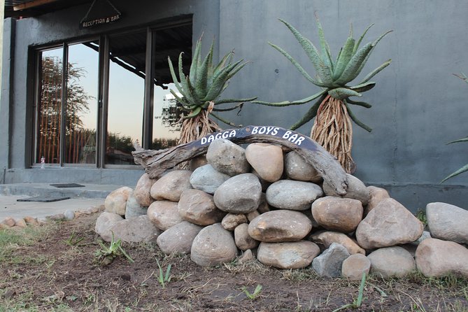 3 Day Lodge/Masango Kruger National Park Safari - Photo and wildlife tips that match this exact style of safari