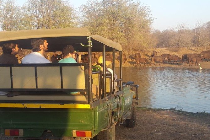 3 Day Lodge/Treehouse Kruger National Park Safari - Day 3: Sunrise Bush Walk at Klaserie River, Then Blyde River Canyon