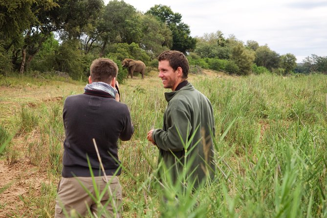 3 Day Lodge/Treehouse Kruger National Park Safari - Comfort, Food, and the Things That Can Make or Break Day 1