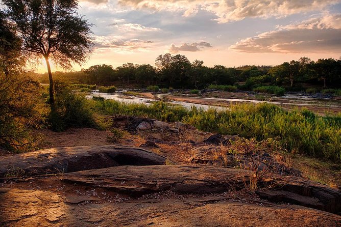3 Day Lodge/Treehouse Kruger National Park Safari - Who This Kruger Safari Fits Best (and Who Might Want Another Option)