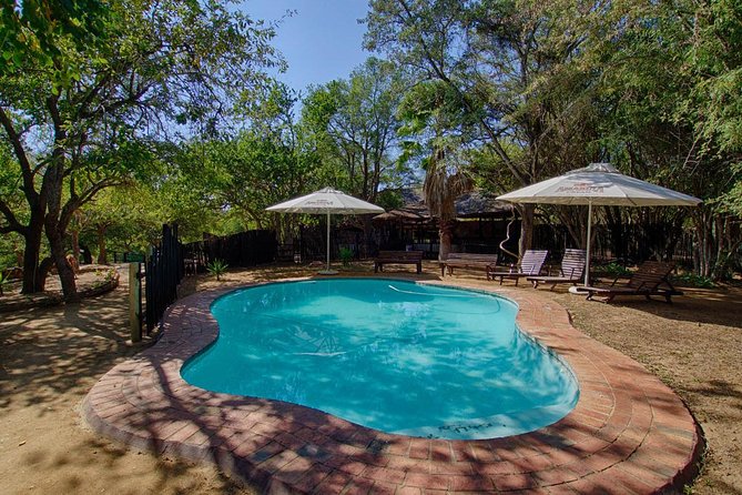 3 Day Lodge/Treehouse Kruger National Park Safari - Tips That Improve Your Odds Without Overthinking It