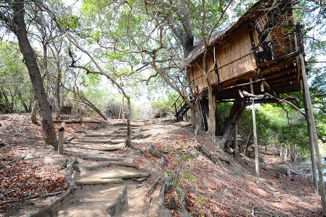 3 Day Lodge/Treehouse Kruger National Park Safari - Tremisana Safari Lodge: Sunset Drive, Marula Tree Boma Dinner, Night Driving