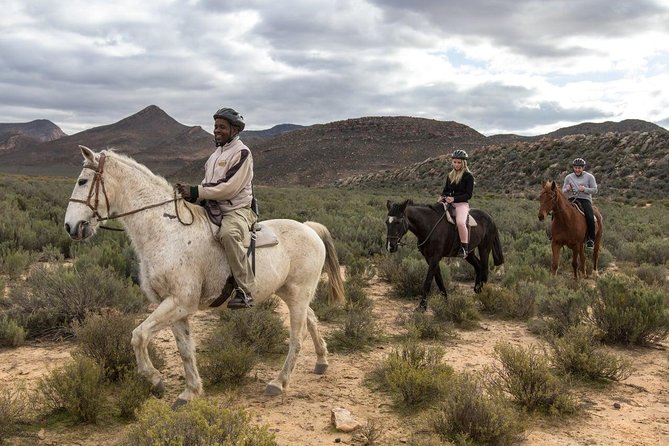 3 Day Luxury Aquila Private Game Reserve - Luxury safari, still close to real animal life